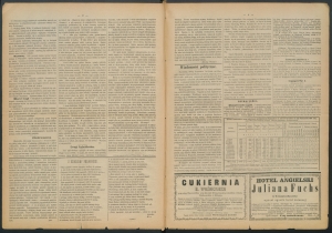 gazeta radomska-1884-21-00002